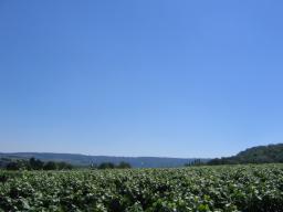 IMG0010.JPG