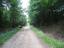 IMG0013.JPG