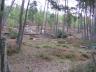 IMG0012.JPG